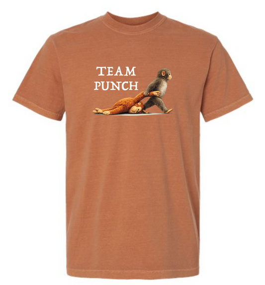 Team  Punch